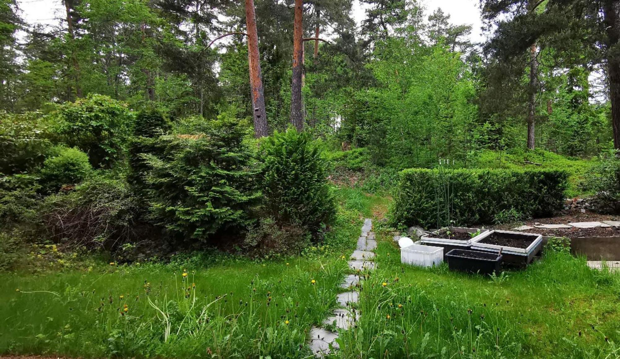 Holmenkollen Forest House Free Parking Lägenhet Oslo Exteriör bild