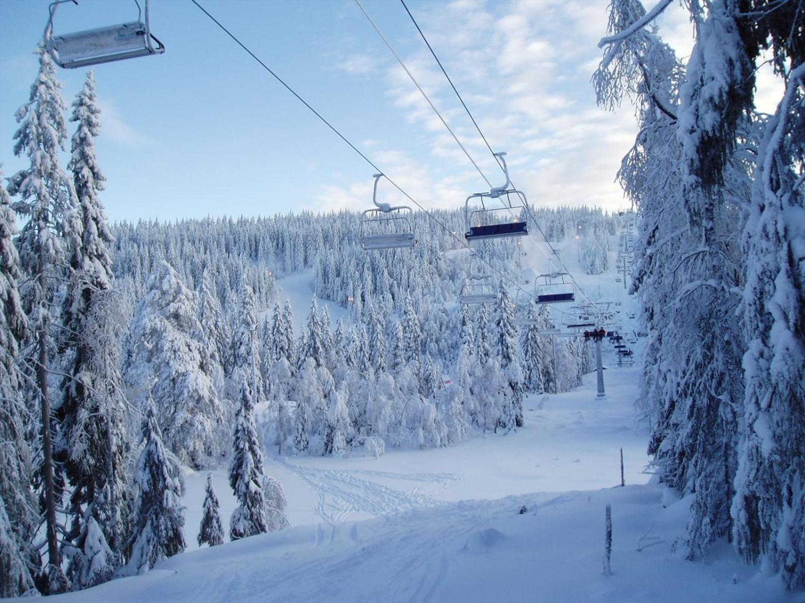 Holmenkollen Forest House Free Parking Lägenhet Oslo Exteriör bild